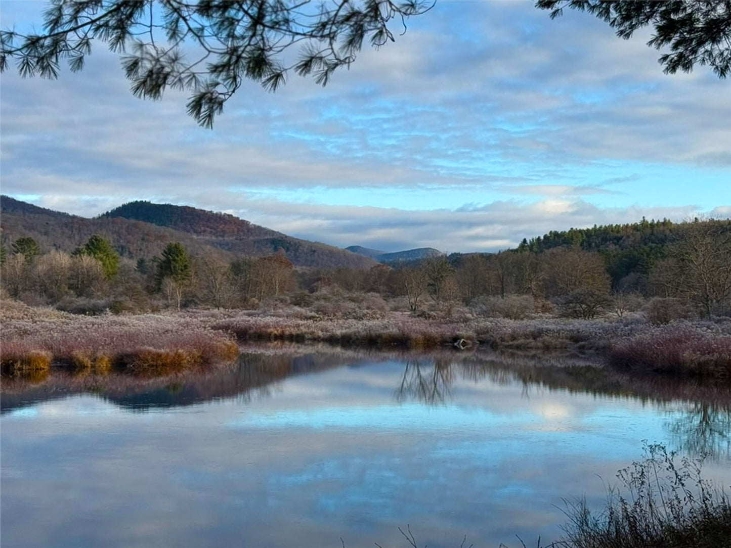 PRE-ORDER (3 TO 5 WEEK DELIVERY) - ADK Dream - Wells, NY