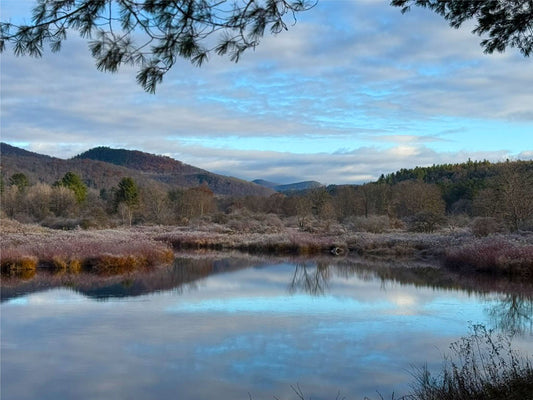 PRE-ORDER (3 TO 5 WEEK DELIVERY) - ADK Dream - Wells, NY