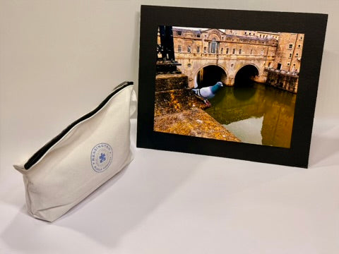 PRE-ORDER (3 TO 5 WEEK DELIVERY) - Pigeon - Bath, England